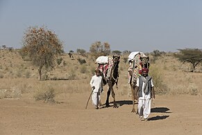 MANVĀR Kumat Thar Serenity Camp
