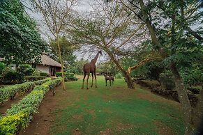 Buffalo's Rest