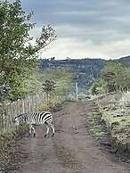 Buffalo's Rest