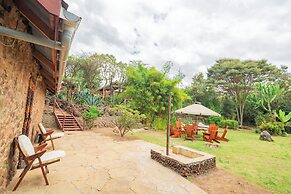 Buffalo's Rest