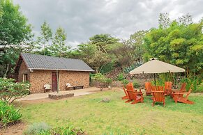 Buffalo's Rest