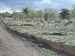 Buffalo's Rest