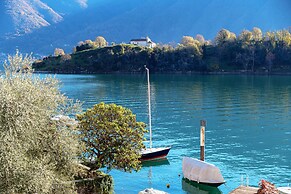 Olea