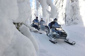 Livo Arctic