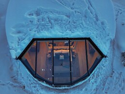 Livo Arctic