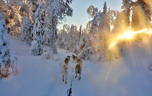 Livo Arctic