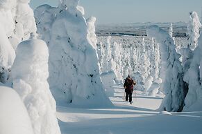 Livo Arctic