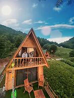 Dora Suit Bungalov
