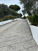 Villa Theodora Skiathos