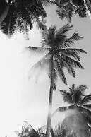 Kaini Mentawai
