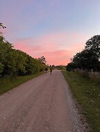 Borgvik Gotland