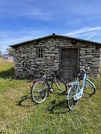 Borgvik Gotland