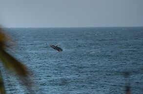 LOS CORALES