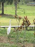 Campo Verde Lodge
