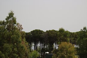 Levante