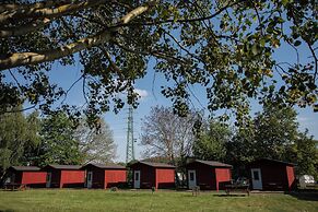 Camp Dzban