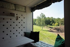 Camp Dzban