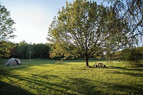 Camp Dzban