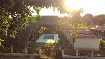 Palomino Sunrise