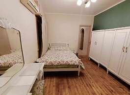 Garden city Nile view apartment