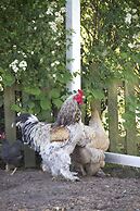 Granelunds Bed & Country Living