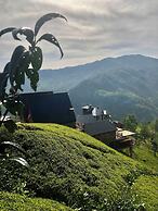 CELAZENİ BUNGALOV