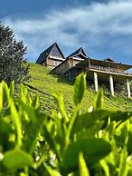 CELAZENİ BUNGALOV