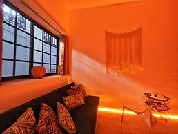 Citrus Studio By Paradox