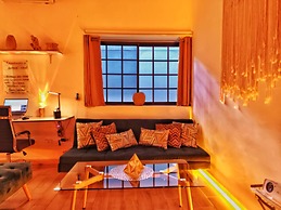 Citrus Studio By Paradox