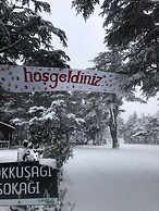 Cedrus Life Bungalow Tesisleri
