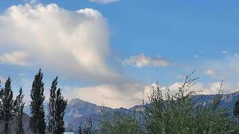 Hotel Leh Residency