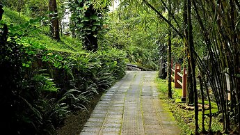 Wayanad Silverwoods Resort