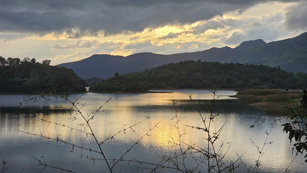 Wayanad Silverwoods Resort