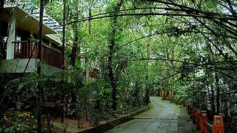Wayanad Silverwoods Resort