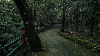 Wayanad Silverwoods Resort