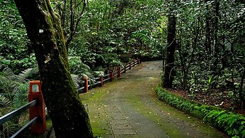 Wayanad Silverwoods Resort