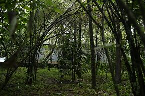 Wayanad Silverwoods Resort