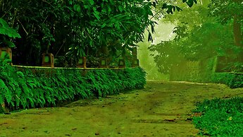 Wayanad Silverwoods Resort