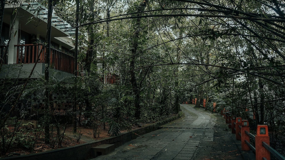 Wayanad Silverwoods Resort