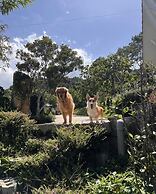 Scent Bungalow