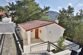 Nestor Hillside House