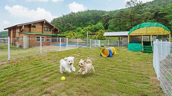 Cheongdo Ellago Poolvilla Pension