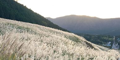 HAKONE DOMA