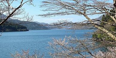 HAKONE DOMA