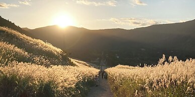 HAKONE DOMA