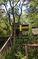 Refugio 31