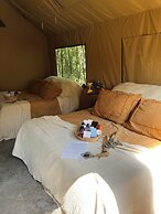 Refugio 31