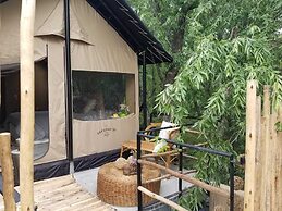 Refugio 31