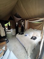 Refugio 31