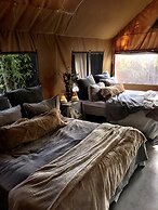 Refugio 31